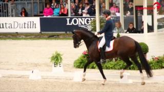 Diederik van Silfhout  Arlando NH NOP  CHIO Rotterdam  2015 [upl. by Ahsiet]