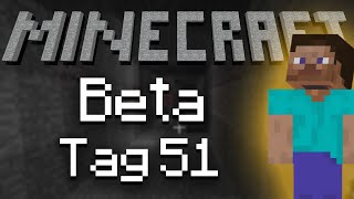 Mehr Dach braucht mehr Stein ⛏ Minecraft 51 [upl. by Refynnej]