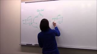 Investigating how pH effects the rate of starch digestion by amylase [upl. by Esra]