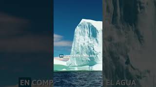 Los ICEBERGS en 1 MINUTO 🧊 SHORTS [upl. by Tsuda]