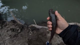 Pesca en rio revuelto con cuchara Tierra Blanca Veracruz [upl. by Cuhp]