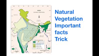 Trick Geography of India Natural Vegetation with solved Previous Year questions [upl. by Ammadis]