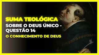 O Conhecimento de Deus  Suma Teológica de Tomás de Aquino [upl. by Duax105]