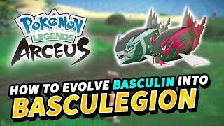 How to evolve BASCULIN into BASCULEGION New evolution  Pokemon Legends Arceus [upl. by Maziar601]