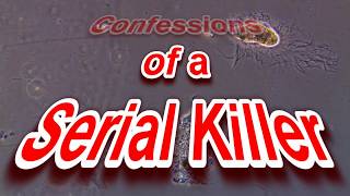 Confessions of a Serial Killer [upl. by Huei160]