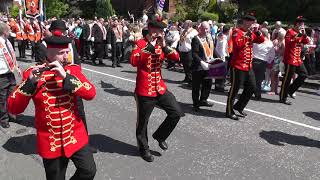 Coatbridge Big Walk 2013 [upl. by Vilberg]