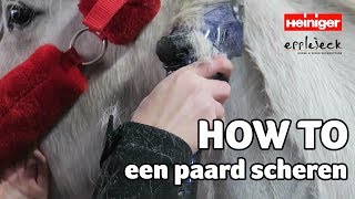 HOW TO een paard scheren  DEEL1  62  Epplejeck [upl. by Kcired]