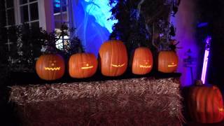 Mesmerizing 5 Pumpkin Singing Display  Must See Halloween Special [upl. by Aleira807]