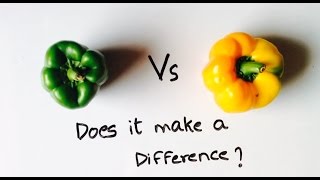 What is the difference between GreenYellow and Red CapsicumsBell peppers [upl. by Aivartal]