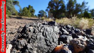 Lodestone Hunting in Utah [upl. by Archy]