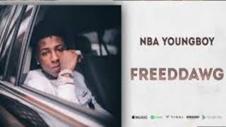 NBA YOUNGBOY  FREEDDAWG 1 HOUR LOOP [upl. by Genovera]