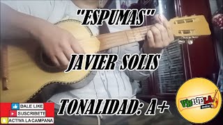 Espumas  Javier Solis  Cover Vihuela [upl. by Trevlac]