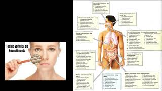 Microbiologia das doenças periodontais  parte 1 [upl. by Thordis]