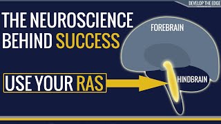 The Neuroscience of success  Use your Reticular Activating System RAS [upl. by Serge393]