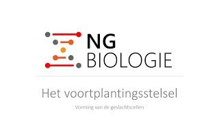 Het voortplantingsstelsel  vorming van de geslachtscellen  HAVOVWO [upl. by Nathanson]