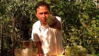 How to Make Fresh Nopal Cactus Juice with the Omega VRT 350HD Juicer [upl. by Ardna149]