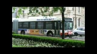 CTA Buses [upl. by Odeen]