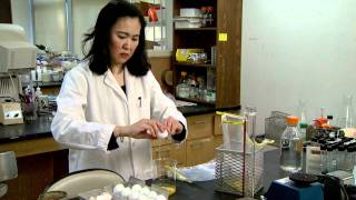 Rapid Salmonella Test University of Missouri [upl. by Bolton]