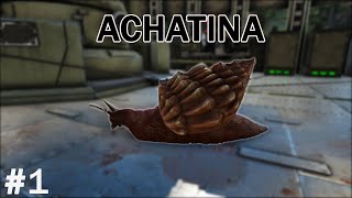 ARK  Je tame tout ce qui bouge 1 ACHATINA [upl. by Ettenotna379]