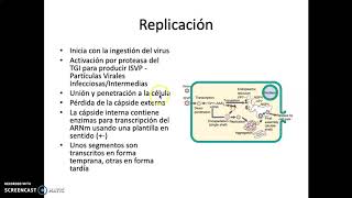 Reovirus 1 ICESI 2020 [upl. by Huppert76]