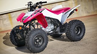 New 2023 Honda TRX250X Sport ATV  Quad  Walkaround  Exhaust Sound [upl. by Ernestine350]