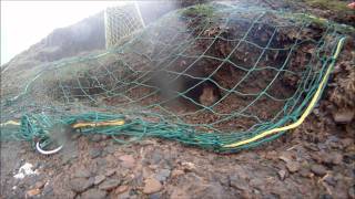 rabbit jumping into purse net [upl. by Romulus]