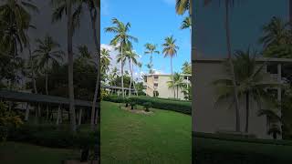 Grand Sirenis Punta Cana Resort Dominican Republic [upl. by Dnomayd]