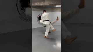 Judo Foot Sweep jiujitsuflo judo jiujitsu martialarts [upl. by Ninehc]