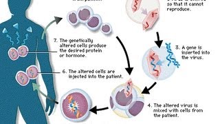 Human gene therapy types of gene therapy part 4 [upl. by Corwin]