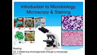 Introduction to Microbiology Lecture Microscopy amp Staining Part 1 [upl. by Inah]