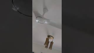 Havells Stealth white ceiling fan speed test [upl. by Memberg735]