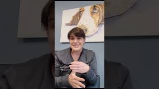 Dr Gigler discusses Pet Health Insurance [upl. by Rybma626]