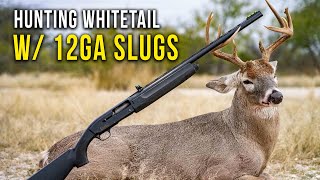 Whitetail Hunting with a Shotgun [upl. by Meelas893]