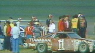 Fights The Infamous Fistfight 1979 Daytona 500 Offici [upl. by Akibma]