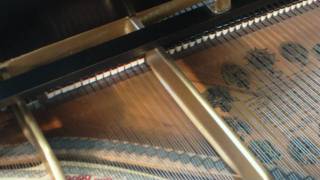 Steinway Model A 1905 [upl. by Woodhead]