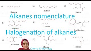 Alkane Nomenclature Halogenation and Reactive intermediates3 part1 Omnia Elbatrawy شرح بالعربى [upl. by Aanas892]