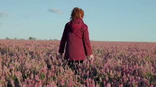 Field Of Sainfoin [upl. by Dayir]