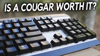 Cougar X3 RGB Attack Keyboard amp Revenger Mouse Review  Is This Newcomer Any Good [upl. by Rhtaeh]