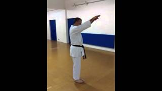 KimeSanchin NiSeiShi Kata slow [upl. by Emse]