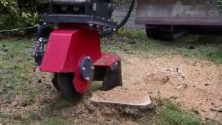 Fresa Ceppi  Stump Grinder [upl. by Anigger668]