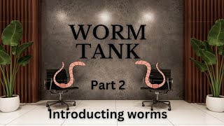 Adding Compost Worms To Continuous Flow Through Worm Farm [upl. by Ethbin370]