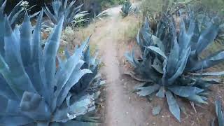 Summer Solstice 2024 Ride Lower Gabrielino Trail [upl. by Blunt960]