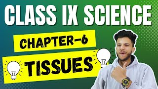 Tissues Class 9 Ch 6 Tissues Most Important QuestionsCh 6 Class 9 Science Tissues [upl. by Anec267]