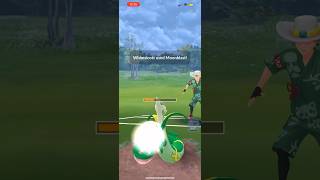 Shiny Whimsicott strikes down Serperior [upl. by Nomor]