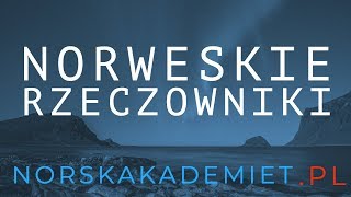 🇳🇴🇳🇴🇳🇴Język norweski🇳🇴🇳🇴🇳🇴 Ei avis En avis czyli rzeczowniki lektor norweski [upl. by Felipe451]