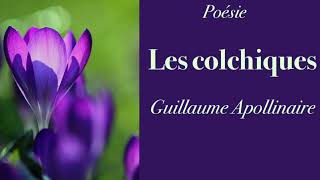 Poésie  Les colchiques  Guillaume APOLLINAIRE  French Poem [upl. by Arrad]