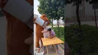 Teddy bear comedy funny comedy bear prank teddybear funnymoment monkey viralvideo rippibear [upl. by Kent125]