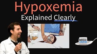 Hypoxemia Explained Clearly  Causes Physiology Hypoxia Treatment [upl. by Guinevere793]