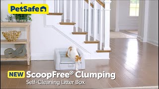 Say Goodbye to Scooping with the ScoopFree® Clumping Litter Box [upl. by Anauqaj522]