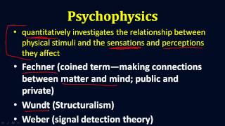 Psychophysics [upl. by Poler]